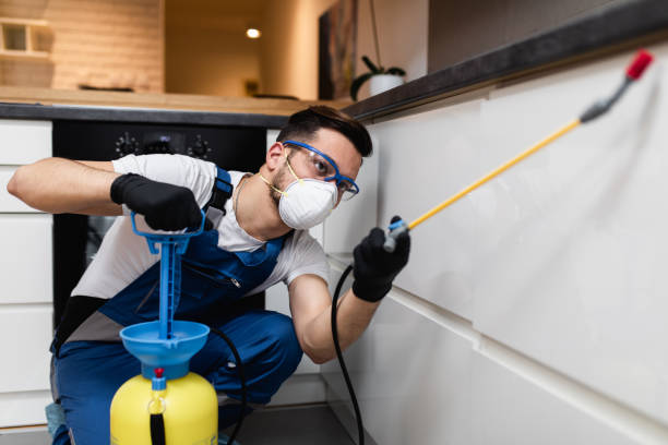 Best Mosquito Control Services  in Andusia, AL
