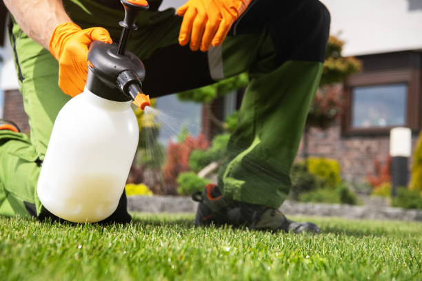 Best Termite Control Services  in Andusia, AL