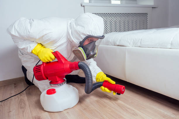 Best Insect Control  in Andusia, AL