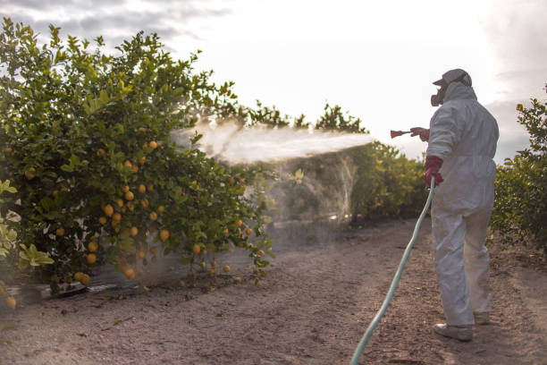 Flea Control Services in Andalusia, AL