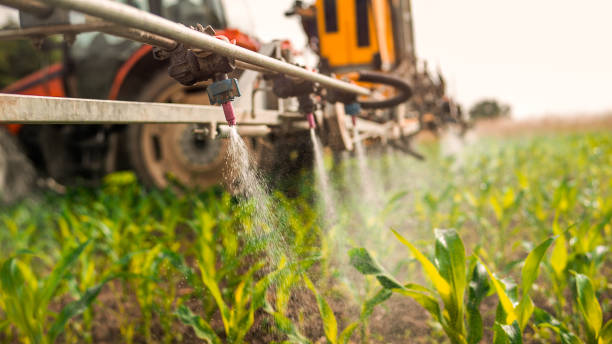 Best Pest Removal Services  in Andusia, AL